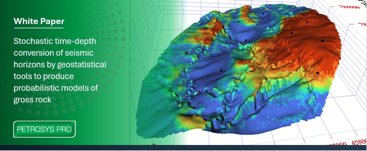 Stochastic Time-Depth Conversion with Petrosys PRO and Isatis.neo